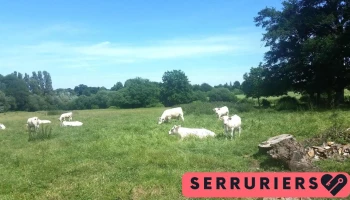 Hermange Pascal - 72650 Saint-Saturnin
