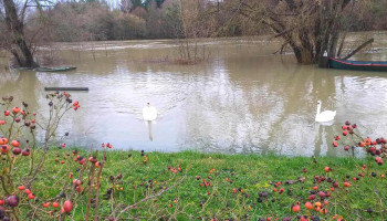 Mary-sur-Marne - France Mary-sur-Marne - France