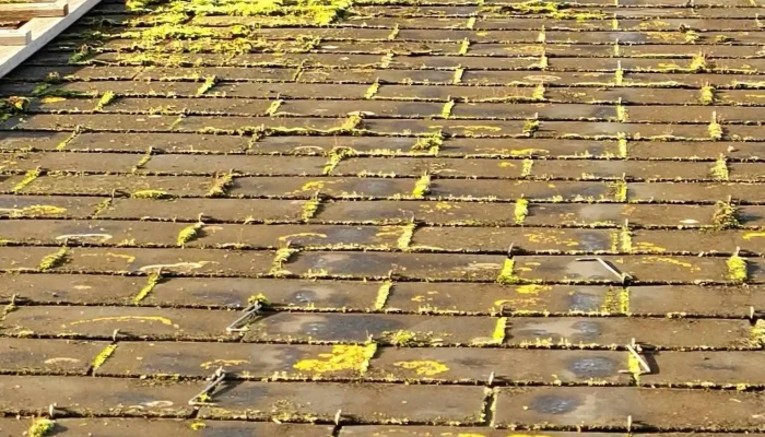Allo Ledu dépannage - France