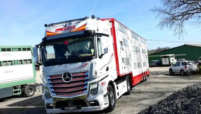 Bellivier Sas - 16270 Roumazières-Loubert